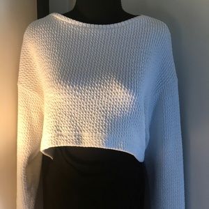 Top - “Zara” Trafaluc Crop Top